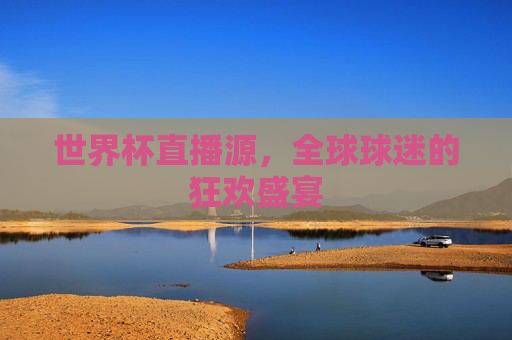 世界杯直播源，全球球迷的狂欢盛宴