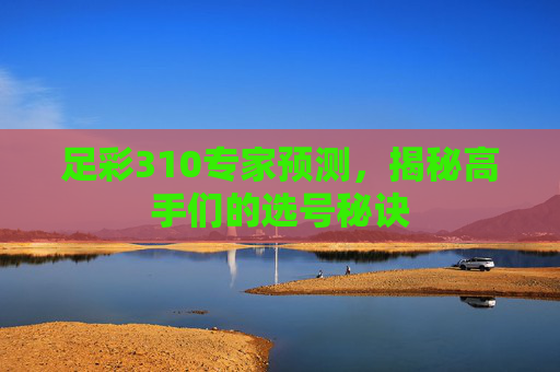 足彩310专家预测，揭秘高手们的选号秘诀