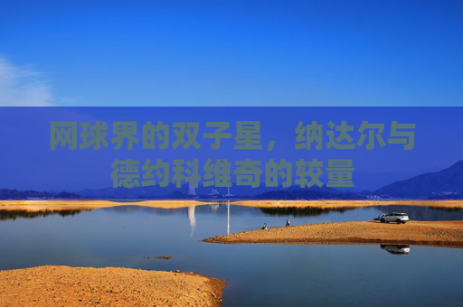 网球界的双子星，纳达尔与德约科维奇的较量