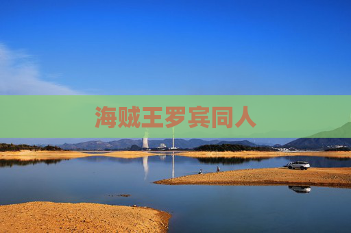 海贼王罗宾同人