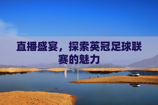 直播盛宴，探索英冠足球联赛的魅力