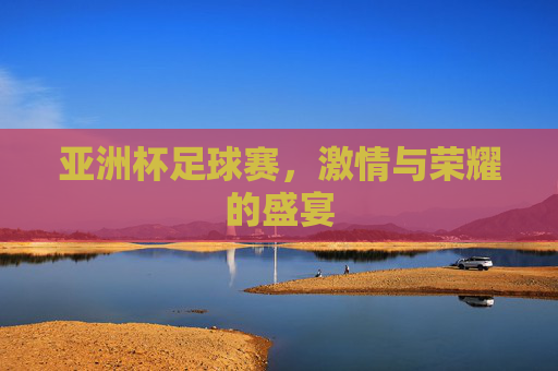 亚洲杯足球赛，激情与荣耀的盛宴