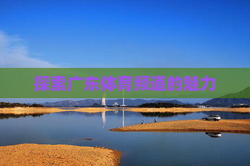 探索广东体育频道的魅力