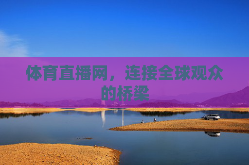 体育直播网，连接全球观众的桥梁