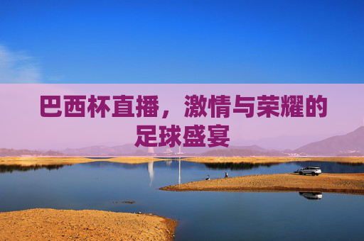 巴西杯直播，激情与荣耀的足球盛宴