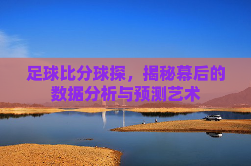 足球比分球探，揭秘幕后的数据分析与预测艺术