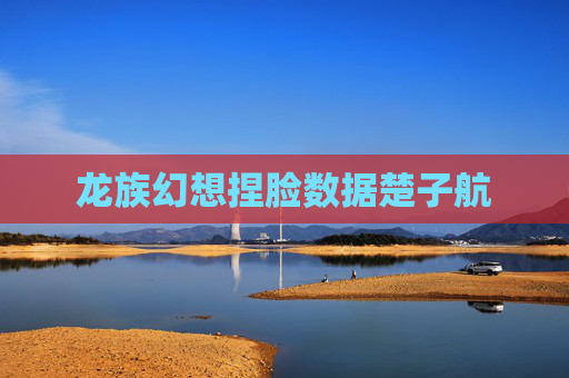 龙族幻想捏脸数据楚子航
