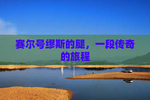 赛尔号缪斯的腿，一段传奇的旅程