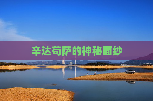 辛达苟萨的神秘面纱