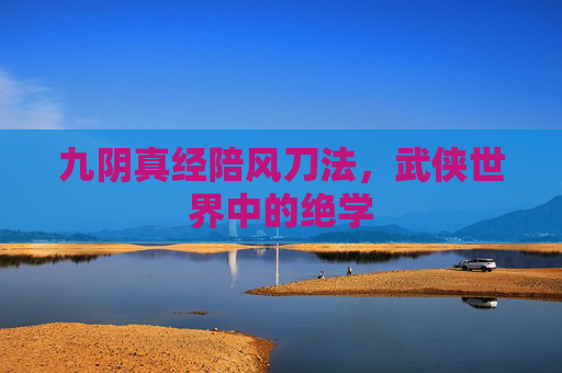 九阴真经陪风刀法，武侠世界中的绝学