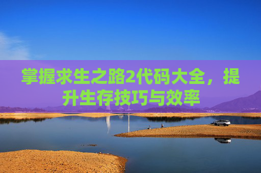 掌握求生之路2代码大全，提升生存技巧与效率