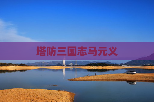 塔防三国志马元义