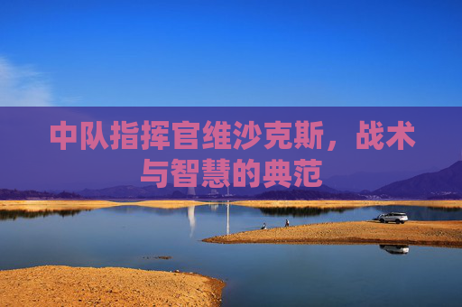 中队指挥官维沙克斯，战术与智慧的典范