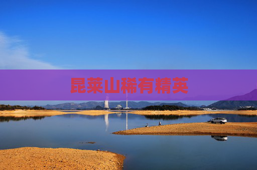昆莱山稀有精英