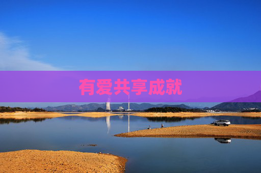 有爱共享成就