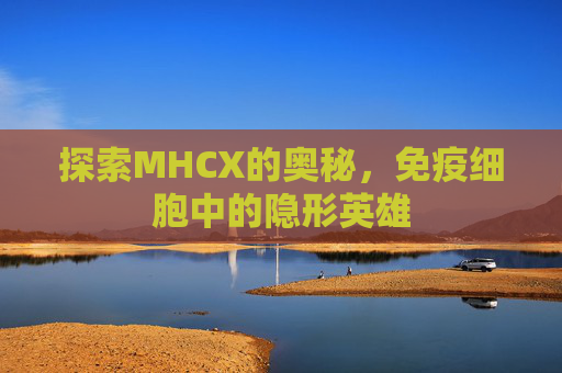 探索MHCX的奥秘，免疫细胞中的隐形英雄