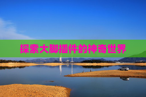 探索大脚插件的神奇世界
