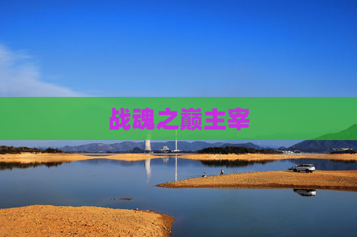 战魂之巅主宰
