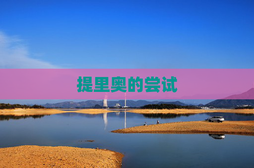 提里奥的尝试