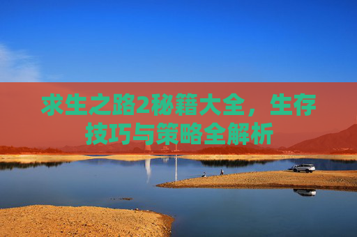求生之路2秘籍大全，生存技巧与策略全解析