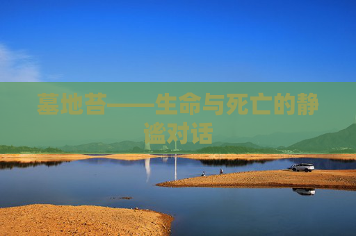 墓地苔——生命与死亡的静谧对话