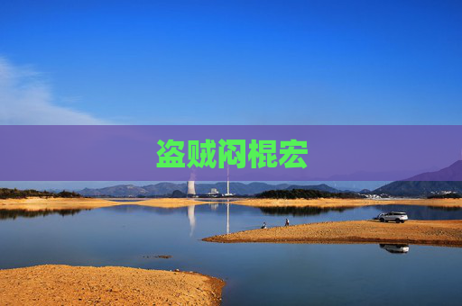 盗贼闷棍宏