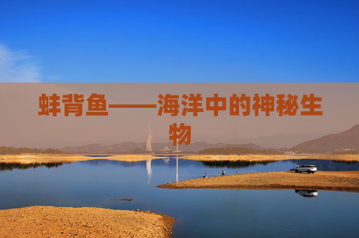 蚌背鱼——海洋中的神秘生物