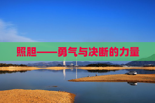照胆——勇气与决断的力量
