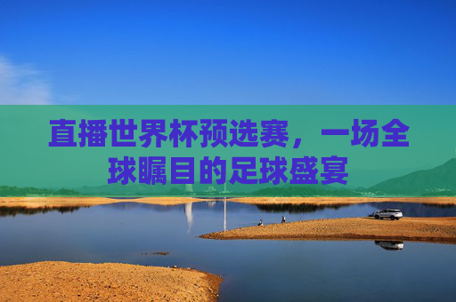 直播世界杯预选赛，一场全球瞩目的足球盛宴