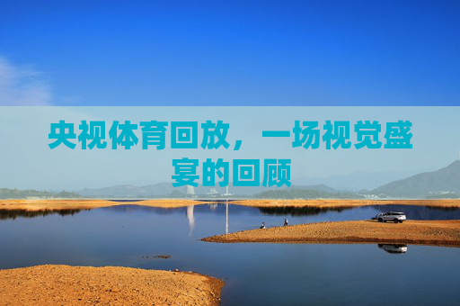 央视体育回放，一场视觉盛宴的回顾