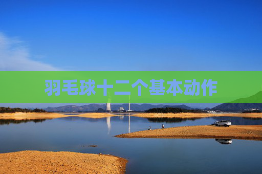 羽毛球十二个基本动作