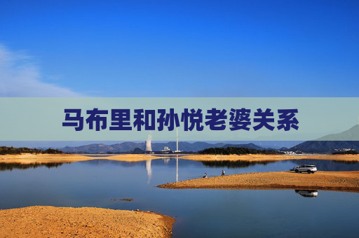 马布里和孙悦老婆关系