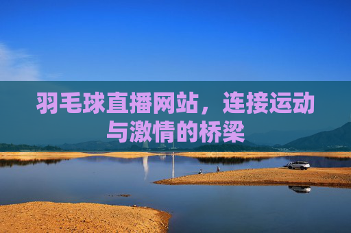 羽毛球直播网站，连接运动与激情的桥梁