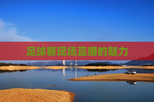 足球赛现场直播的魅力