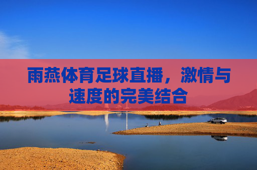雨燕体育足球直播，激情与速度的完美结合