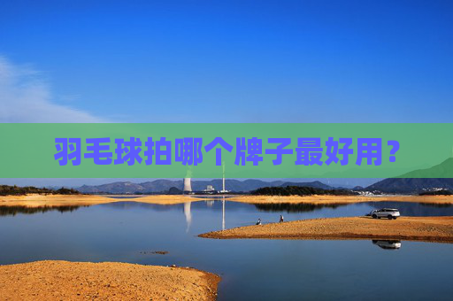 羽毛球拍哪个牌子最好用？