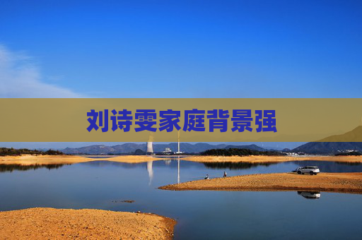 刘诗雯家庭背景强