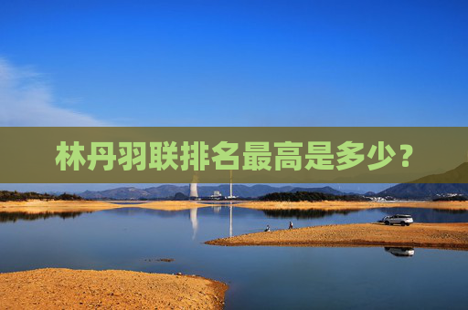 林丹羽联排名最高是多少？