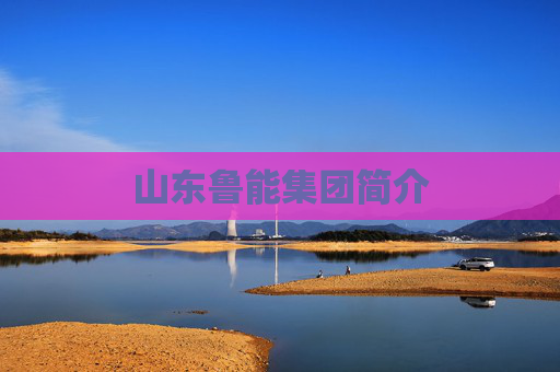 山东鲁能集团简介