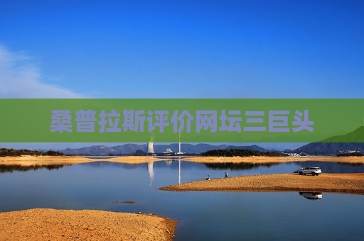 桑普拉斯评价网坛三巨头