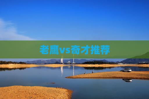 老鹰vs奇才推荐