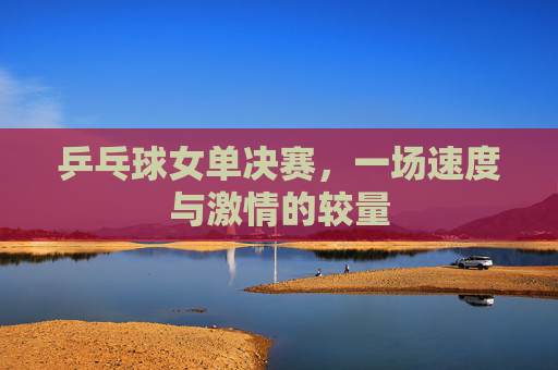 乒乓球女单决赛，一场速度与激情的较量