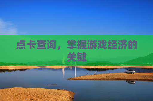 点卡查询,掌握游戏经济的关键 点卡查询,掌握游戏经济的关键