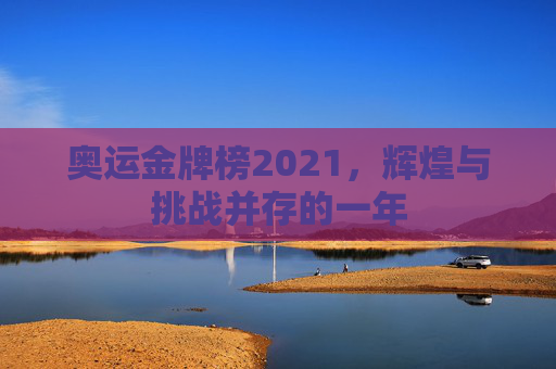 奥运金牌榜2021，辉煌与挑战并存的一年