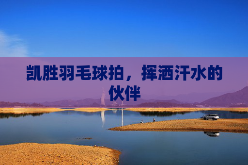 凯胜羽毛球拍，挥洒汗水的伙伴
