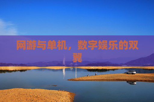 网游与单机，数字娱乐的双翼