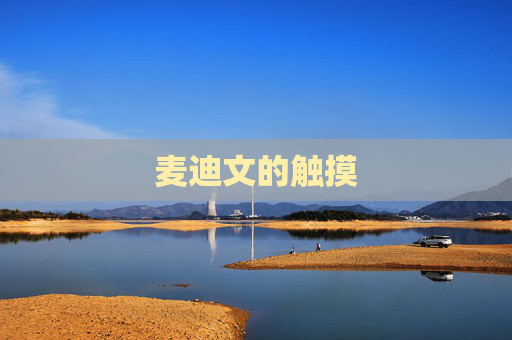 麦迪文的触摸