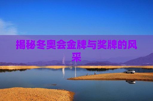 揭秘冬奥会金牌与奖牌的风采