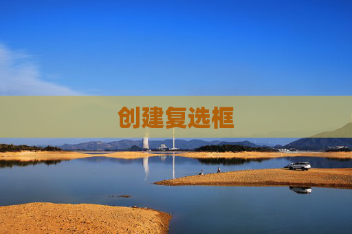 创建复选框