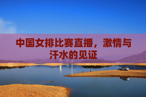 中国女排比赛直播，激情与汗水的见证